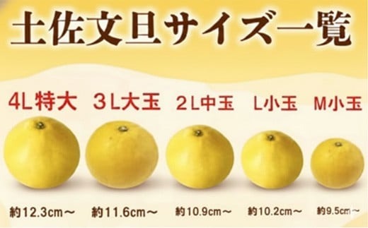 ã å
è¡äºçŽåä» ãã R8幎çºé ã åäœææŠ M~L çŽ10kg èš³ãã æç© ææ© é«ç¥ç ç¹ç£å ææŠ ã¶ããã ãã³ã¿ã³ çœãã é
žå³ çã ææ± ãžã¥ãŒã·ãŒ ããªããª é£æ è³éŠ ãå®¶åºçš ã¯ã±ãã äžæã åå
士蟲å 2æ 3æ 4æ çºé M~Lãµã€ãº 26~32ç è©°ãåãã èŽççš ã®ãã ååœ ãã«ãŒã å¬ æ¥ å£ç¯ æ¬ ç¹å€§ å®èžåž é«ç¥ç