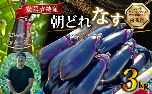農家直送!高知県安芸市産　朝採れナス　3kg