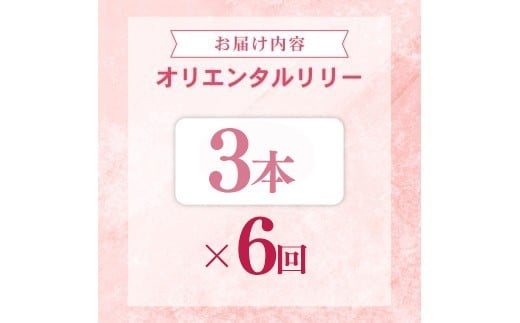 螳壽悄萓ソ6蝗 繝ヲ繝ェ 繧ェ繝ェ繧ィ繝ウ繧ソ繝ォ繝ェ繝ェ繝シ 3譛ャ