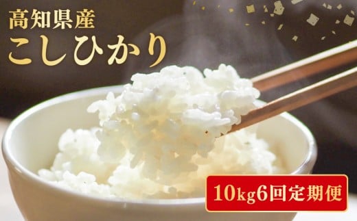 【8月～発送開始！】【令和8年産】 米 こしひかり 10kg 新米 定期便 6ヶ月 計 60kg お米 白米 精米 コシヒカリ ごはん ご飯 高知県産 弁当 おにぎり 料理 高知県安芸市 超早場米 粘り 甘み 日本一 人気 ブランド米 食味 栽培 美味しい 農家 直送 食卓 主食 炊飯 和食 贈答 ギフト ふるさと納税 安芸市 高知県