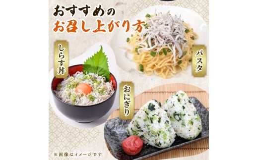 しらす 訳あり 計 780g 訳あり 冷凍 ちりめん 釜揚げしらす 減塩 釜揚げ ごはん 丼 パスタ チャーハン サラダ シラス sirasu しらすごはん シラス しらす しらす丼 shirasu sirasu SIRASU 人気シラス 海鮮 魚 魚貝 魚 料理 高知県 安芸市
