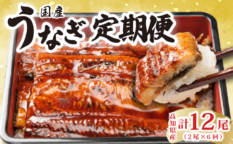 厳選!!高知県産うなぎの蒲焼き(2尾) 6回定期便