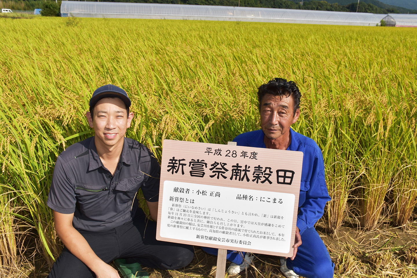 先行受付 令和8年産 玄米 こしひかり 60kg 6ヵ月連続 定期便 10kg × 6回 安芸産 栄養価 お米 精米 新米 ごはん ご飯 高知県産 弁当 おにぎり 料理 新嘗祭皇室献上米 令和8年 健康志向 もちもち食感 美味しい 農家直送 先行予約 おにぎり 高級米 ブランド米 冷めても美味しい 炊き立て 食べ比べ 人気 おすすめ 贈答用 ギフト お米の定期便人気 安芸市 高知県