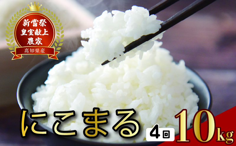 令和8年産 にこまる 白米 4ヵ月連続でお届け!! 定期便 10kg × 4回 40kg 