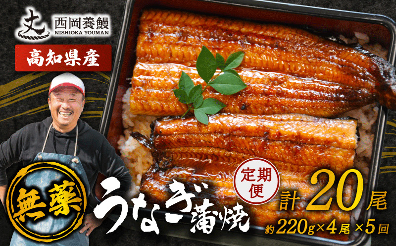 完全無投薬 うなぎ蒲焼 定期便 計20尾 ( 220g × 4尾 × 5回 ) 国産 鰻 厳選 無薬 うなぎ 蒲焼き かば焼き 人気 特製タレ 鰻蒲焼き 湯煎 簡単調理 タレ 山椒 セット 旨味 風味 うな重 土用の丑の日 夏バテ対策 ギフト 贈り物 贈答 お取り寄せ グルメ 高級 うなぎ料理 こだわり うな丼 ひつまぶし 冷凍 高知県産 ランキング おすすめ 西岡養鰻 安芸市 高知県