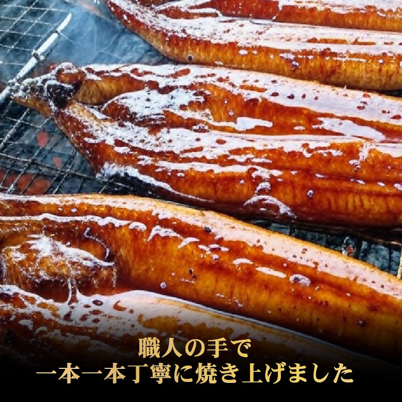 厳選!!高知県産うなぎの蒲焼き(1尾) 6回定期便