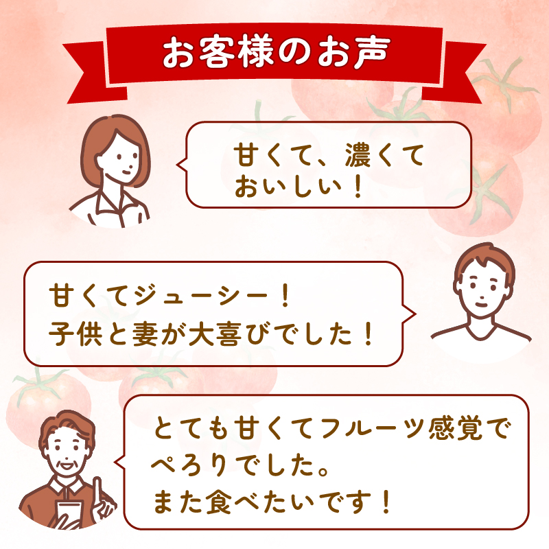 フルティカトマト 2kg | トマト フルティカトマト とまと フルーツ 果物 野菜 厳選 人気 ギフト プレゼント 贈り物 くだもの 旬 お取り寄せ 甘い 産地直送トマト 季節限定 期間限定 西島園芸団地 高知県 南国市