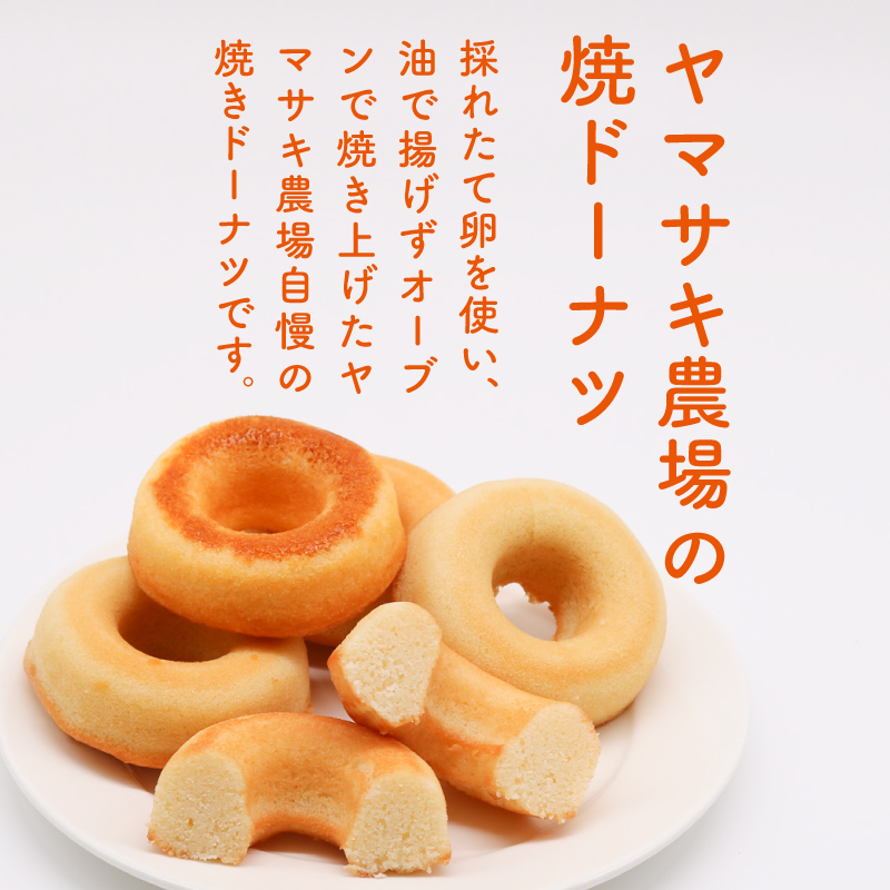 焼きドーナツ 土佐の塩丸 6個入 | 塩 ドーナツ 焼き菓子 お菓子 おかし 家庭用 ギフト 包装 スイーツ 人気 おすすめ たまご 卵 高知県 南国市