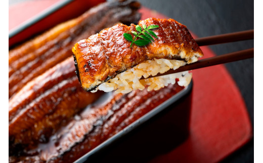 【贈答用】【6回定期便】極上国産うなぎ四万十桜 蒲焼き約140g×4尾 | うなぎ 鰻 蒲焼き 定期便 国産 四万十鰻 白焼き 調理済み タレ付き 頒布会 ギフト（お歳暮/お正月）高級 お取り寄せ グルメ 食べ比べ 冷凍