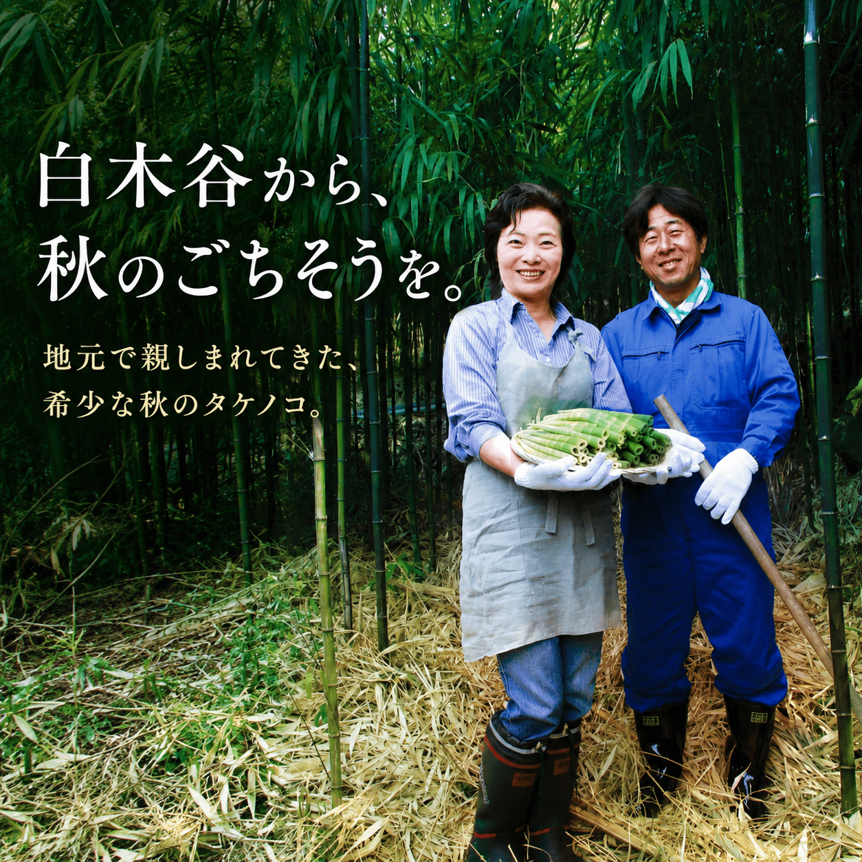 【9月までの受付限定】 国産 四方竹 づくし 3種セット 水煮 土佐煮 炊き込みごはんの素 計4袋 (2026年11月～発送) | 筍 たけのこ 竹の子 タケノコ 先行予約 珍味 希少 煮物 炊き込みご飯 天ぷら 炒め物 鰹だし 醤油 簡単調理 常温 高知 南国市