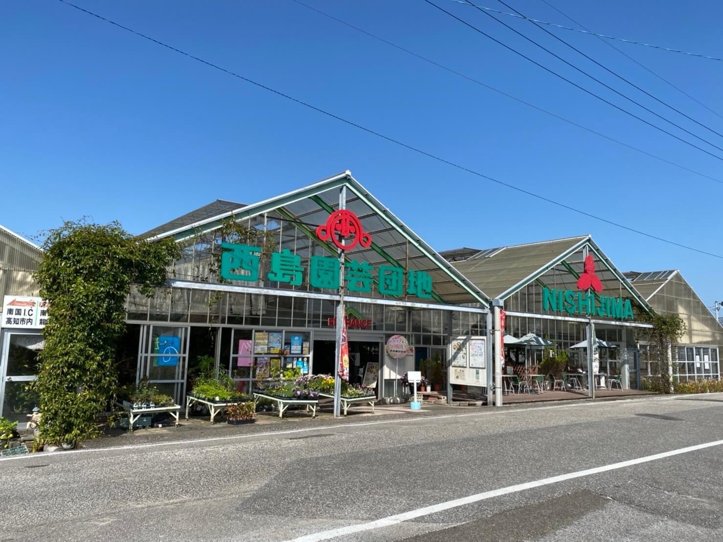 家庭用 メロン 4玉 | マスクメロン 4個 フルーツ 果物 厳選 高級 青肉メロン 人気 デザート ギフト プレゼント 贈り物 くだもの 旬 お取り寄せ 訳アリメロン 甘い 青肉 メロン 高糖度メロン 訳あり 産地直送メロン 訳ありメロン 万円 高知県 南国市