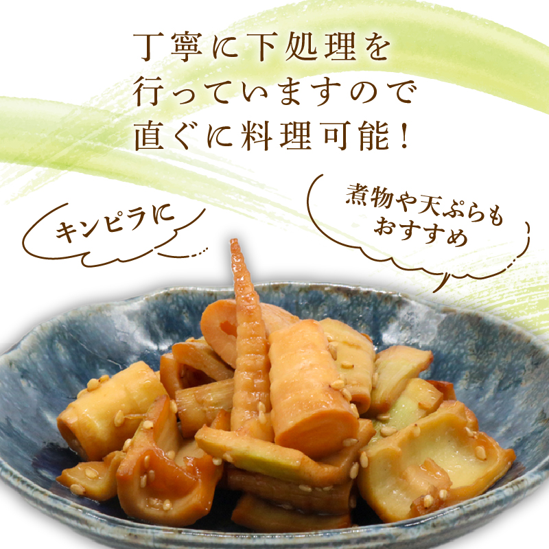 四方竹 食べ比べセット 土佐煮 水煮 炊き込みご飯の素 各2 合計6パック シャキシャキ 食感 珍味 季節 特産 珍しい 柔らか 筍 タケノコ 竹の子 煮物 おでん サラダ 和え物 天ぷら キンピラ お寿司 高知県 南国市