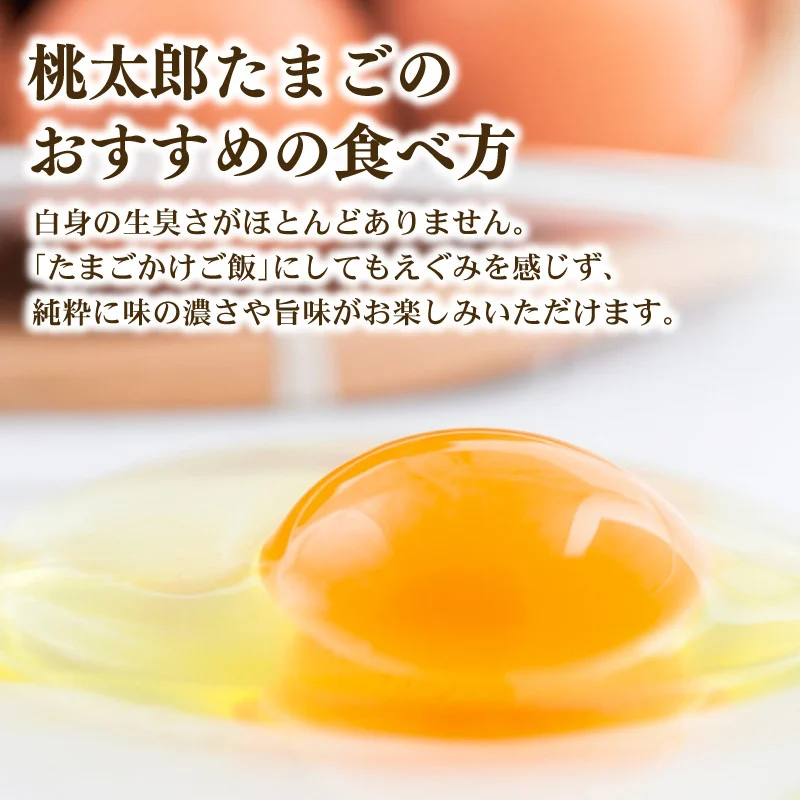 【4回定期便】タマゴ好きにはたまらない 桃太郎たまご 6個入り×2セット | 定期便 毎月 たまご 卵 鶏卵 たまごかけごはん たまごかけ TKG ブランド おいしい 高級 人気 おすすめ 高知県 南国市