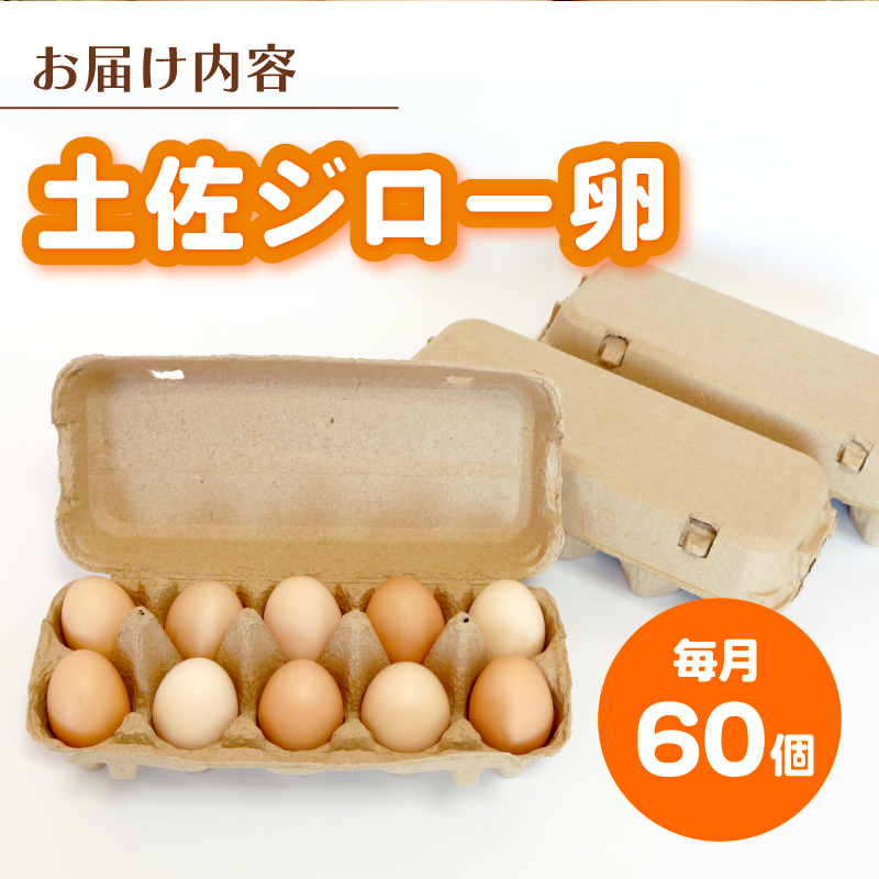 【6回定期便】土佐ジローの卵 60個入り (10個×6パック)【たまご 卵 タマゴ 鶏卵 たまごかけごはん TKG オムレツ ケーキ 卵かけご飯 たまご焼き おいしい おすすめ 高知県 南国市】