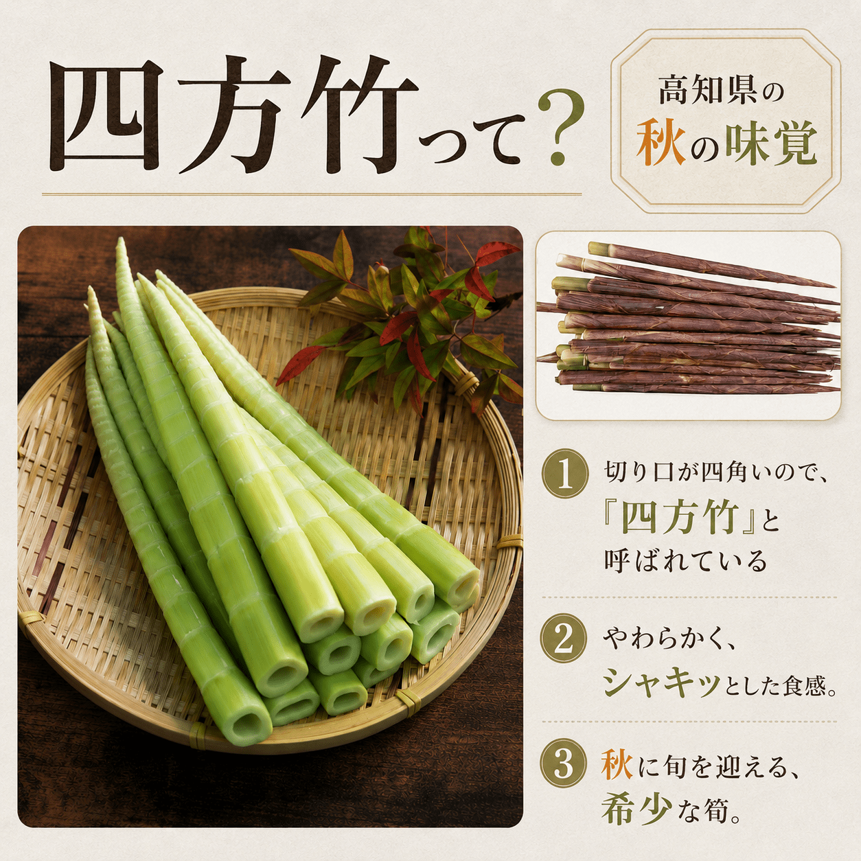【9月までの受付限定】 国産 四方竹 づくし 3種セット 水煮 土佐煮 炊き込みごはんの素 計4袋 (2026年11月～発送) | 筍 たけのこ 竹の子 タケノコ 先行予約 珍味 希少 煮物 炊き込みご飯 天ぷら 炒め物 鰹だし 醤油 簡単調理 常温 高知 南国市