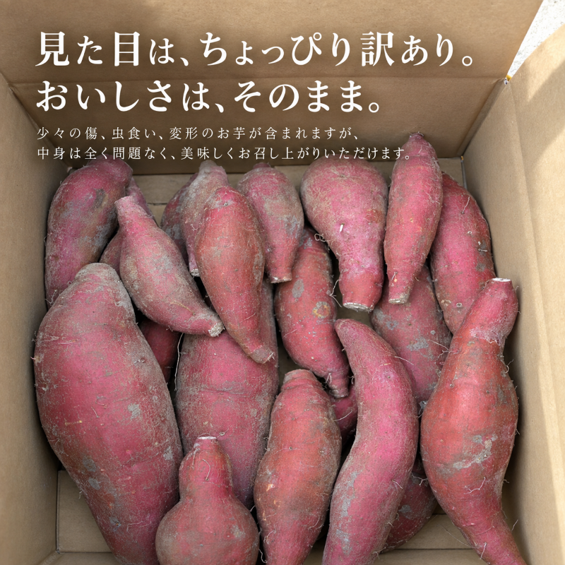 【 冬季 限定 】 【 先行予約 】 【 訳あり 】 高知県産 熟成紅はるか 極蜜芋 10kg ｜ 紅はるか さつまいも 生芋 熟成芋 高知 焼き芋 やきいも おやつ 農家直送 産地直送 WADA FARM 高知県 南国市