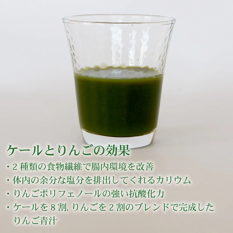 【12ヶ月定期便】 りんご青汁 【生】 冷凍 2箱 5.6kg(100g×56袋) | 健康 美容 乳酸菌 国産 ケール リンゴ 林檎 ビタミン ミネラル 食物繊維 冷凍 ロングセラー お試し青汁 遠藤青汁 新鮮 高知県 南国市