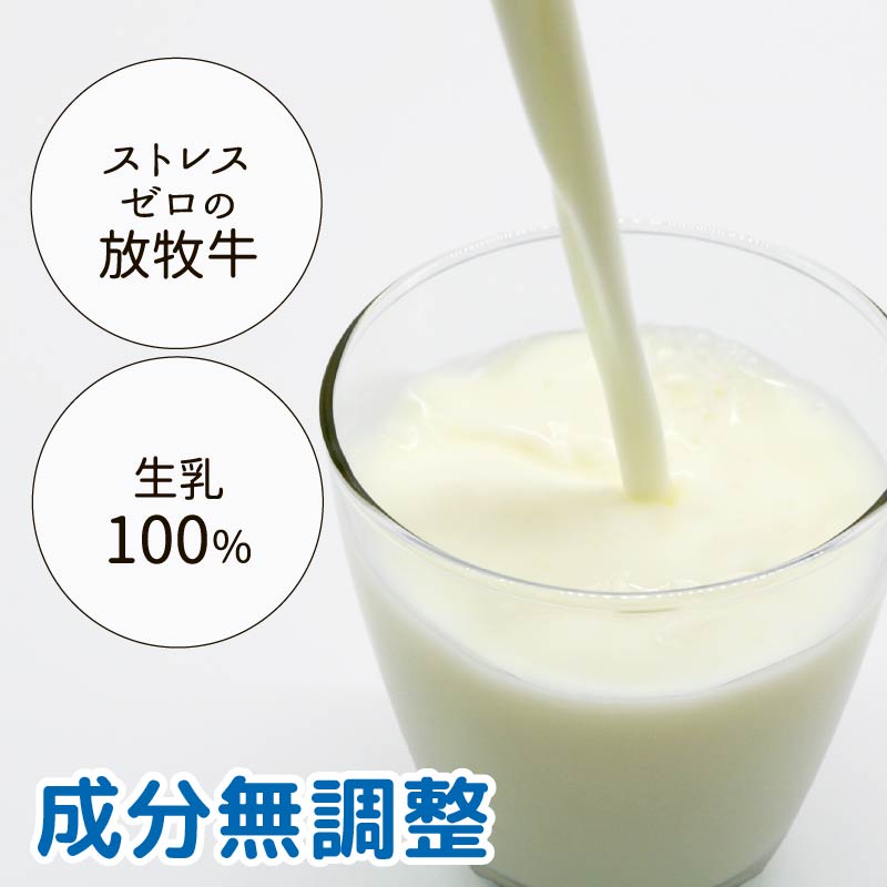 【6か月定期便】山地酪農牛乳1L×4本【バターができる 低温殺菌 生乳100％ 成分無調整牛乳 ノンホモジナイズ製法 お菓子作り ぎゅうにゅう ミルク 南国斉藤牧場 高知県 南国市】