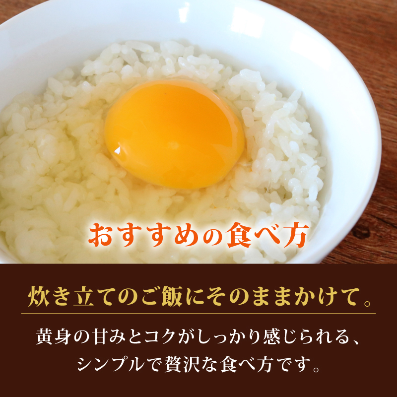 【定期便12回】 平飼い卵 30個入り たまご 卵 タマゴ 鶏卵
