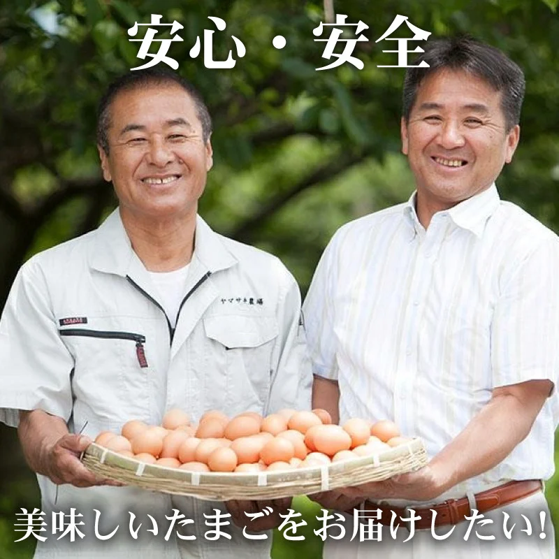 【12回定期便】タマゴ好きにはたまらない 桃太郎たまご 6個入り×2セット | 定期便 毎月 たまご 卵 鶏卵 たまごかけごはん たまごかけ TKG ブランド おいしい 高級 人気 おすすめ 高知県 南国市