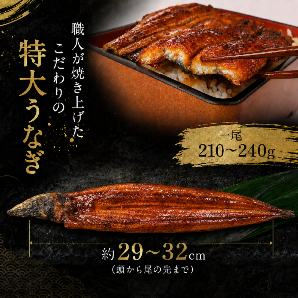 【6回 定期便】 高知県産うなぎ 白焼 蒲焼 セット 各2尾 | 国産 うなぎ 鰻 うな丼 ウナギ 蒲焼き かばやき 白焼き 白焼 しらやき 食べ比べ 魚 魚介 魚貝土用丑の日 土用の丑の日 丑の日 高級 贅沢 老舗 初音 釜めし初音 創業70年以上 秘伝のタレ タレ付き 贈答 お取り寄せ 冷凍 うな重 ギフト 人気 おすすめ 湯煎 簡単 調理 おかず お手軽 ご当地 グルメ 高知県 南国市