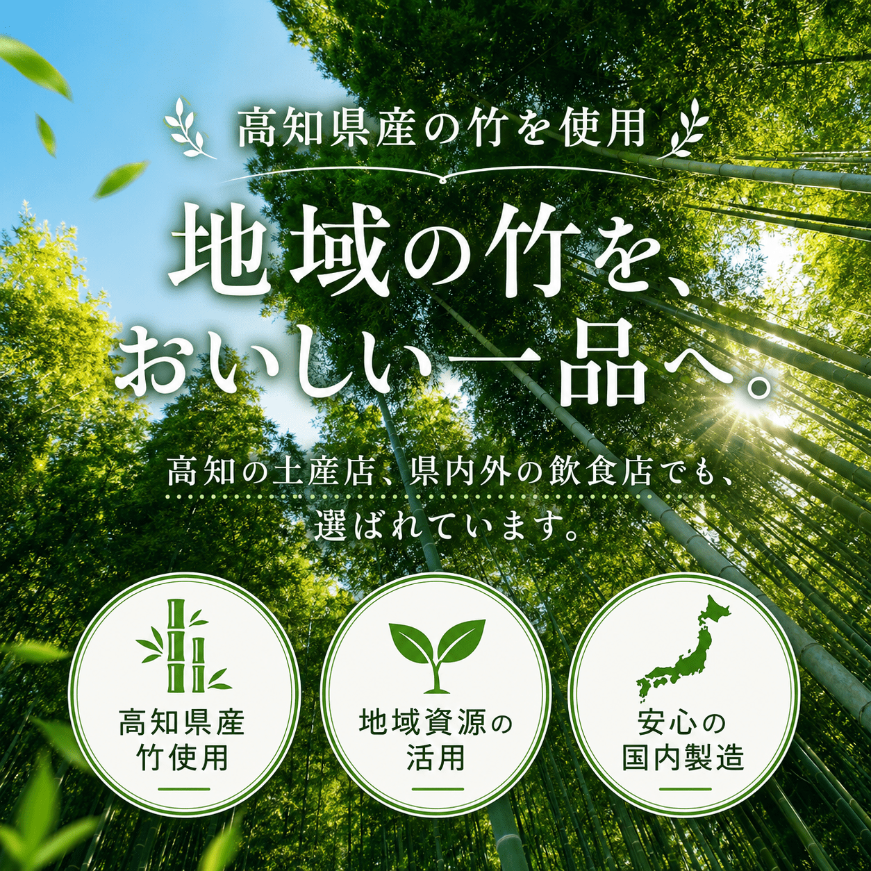 国産 メンマ ピリ辛 国産 170g × 2袋 | 筍 たけのこ 竹の子 味付け めんま おつまみ 旨辛 ラー油 ラーメン トッピング 常温 高知 南国市
