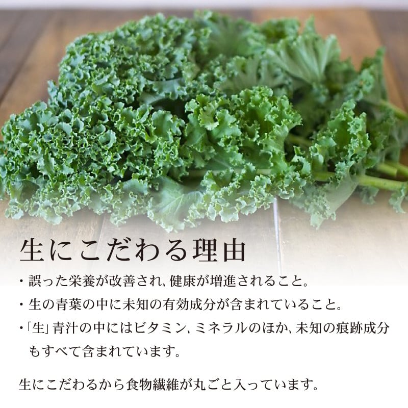 【6回定期便】 豆乳青汁 【生】 冷凍 1箱 2.8kg( 100g × 28袋 ) | 健康 美容 乳酸菌 国産 ケール 大豆 ビタミン ミネラル 食物繊維 冷凍 ロングセラー お試し青汁 遠藤青汁 新鮮 高知県 南国市