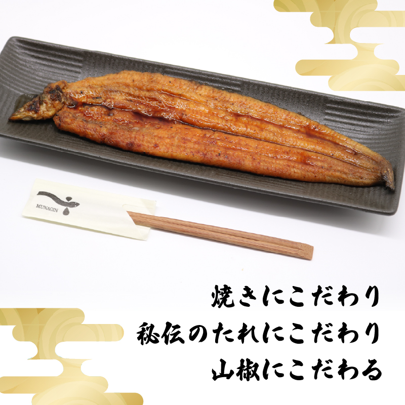 うなぎ蒲焼 約170g×3尾 高知県産 最高品質 合計約510g たれ 山椒 国産 鰻 かば焼 土佐焼 うな丼 うな重 高知県 南国市