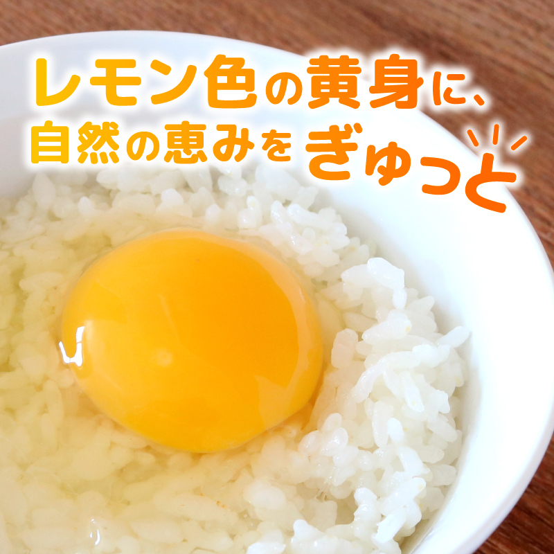 【定期便12回】 平飼い卵 30個入り たまご 卵 タマゴ 鶏卵