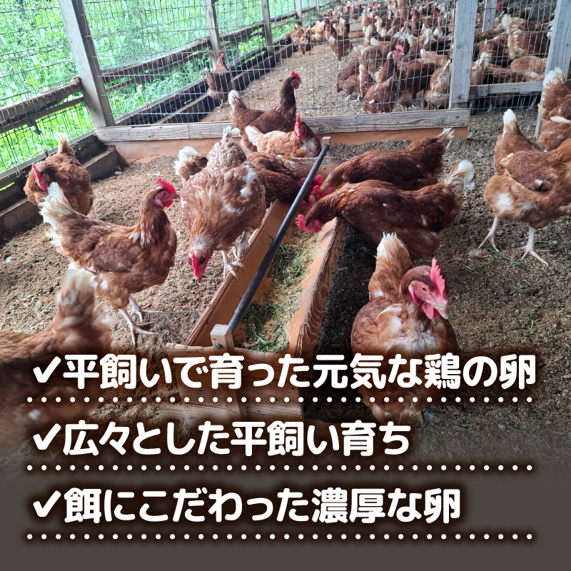 【定期便3回】 平飼い卵 20個入り たまご 卵 タマゴ 鶏卵