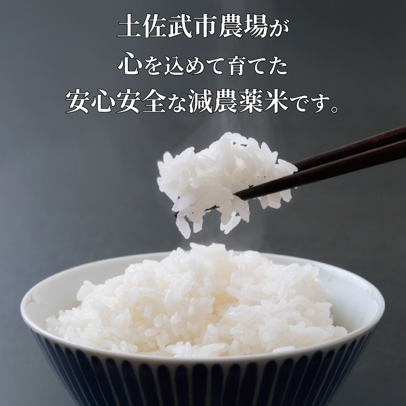 ããç±³å®æäŸ¿ã ã3åã 什å7幎床 ã³ã·ãã«ãª æ°ééå® å5ãã ç±³ ã³ã¡ ãç±³ 粟米 æ©å Žç±³ æ°ç±³ ã飯 ãã«ãã ãã çœç±³ é«ç¥ç ååœåž