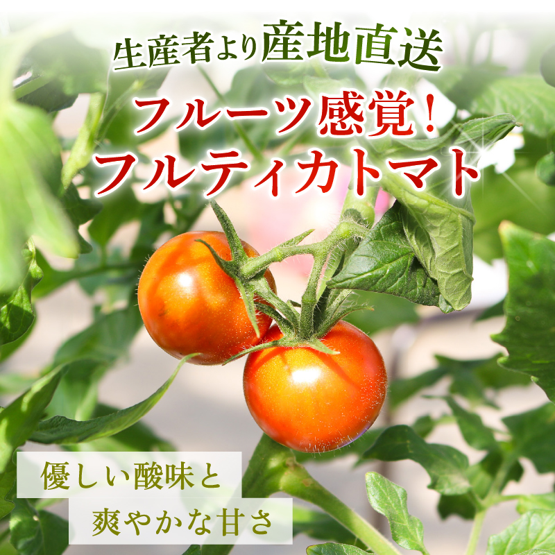 フルティカトマト 2kg | トマト フルティカトマト とまと フルーツ 果物 野菜 厳選 人気 ギフト プレゼント 贈り物 くだもの 旬 お取り寄せ 甘い 産地直送トマト 季節限定 期間限定 西島園芸団地 高知県 南国市