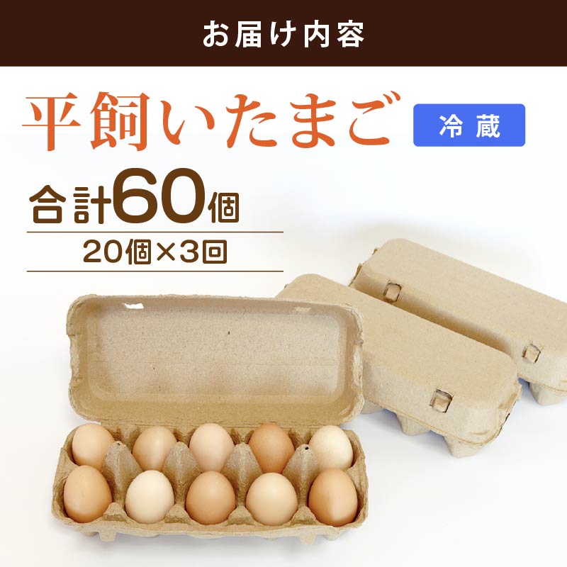 【定期便3回】 平飼い卵 20個入り たまご 卵 タマゴ 鶏卵