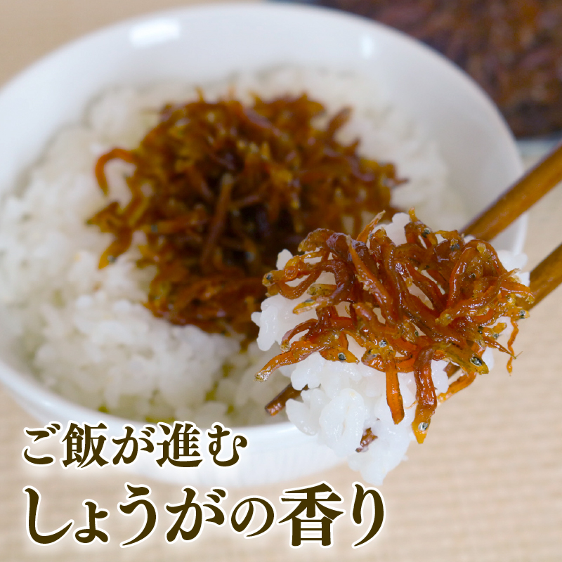 【定期便12回】土佐しらす 佃煮 250g 小分け 冷凍配送 国産 おかず 惣菜 お米 に合う 魚介 小魚 鮮魚 海鮮 ちりめんじゃこ おつまみ 産地直送