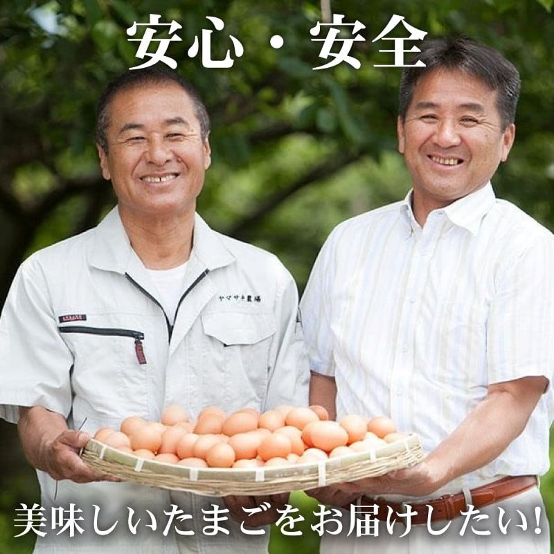 焼きドーナツ 土佐の塩丸 6個入 | 塩 ドーナツ 焼き菓子 お菓子 おかし 家庭用 ギフト 包装 スイーツ 人気 おすすめ たまご 卵 高知県 南国市