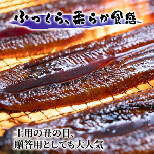 【贈答用】【6回定期便】極上国産うなぎ四万十桜 蒲焼き約140g×4尾 | うなぎ 鰻 蒲焼き 定期便 国産 四万十鰻 白焼き 調理済み タレ付き 頒布会 ギフト（お歳暮/お正月）高級 お取り寄せ グルメ 食べ比べ 冷凍