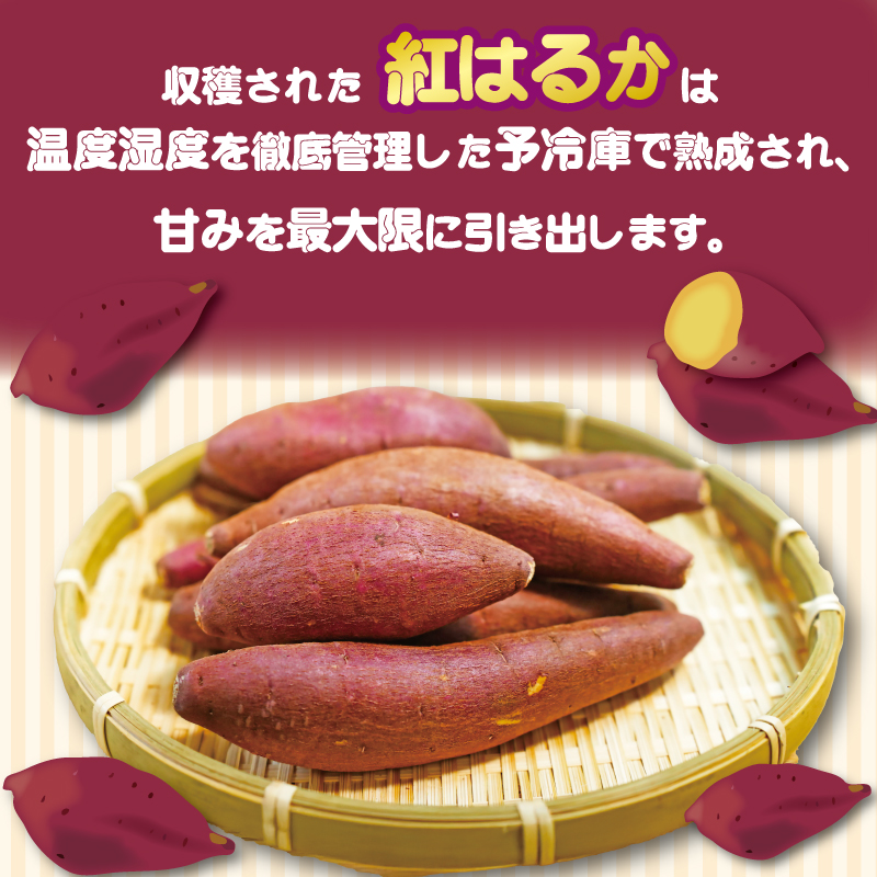冷凍焼き芋 200g×3パック いも 芋 おやつ お菓子 食物繊維 サツマイモ 天ぷら 冷凍 紅はるか 高知県 南国市