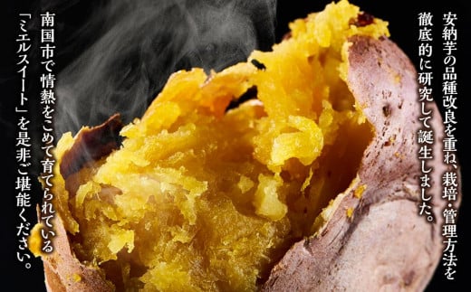 ãæ°èçºééå§ã ãèš³ãããããšã«ã¹ã€ãŒã 5ãã ãµããã€ã¢ è ãã ããšã«ã¹ã£ãŒã ãã〠ã¹ã€ãŒã ãã倩 è倩 çŒãè çŒãã çŒè ãããã é«ç¥ç ååœåž