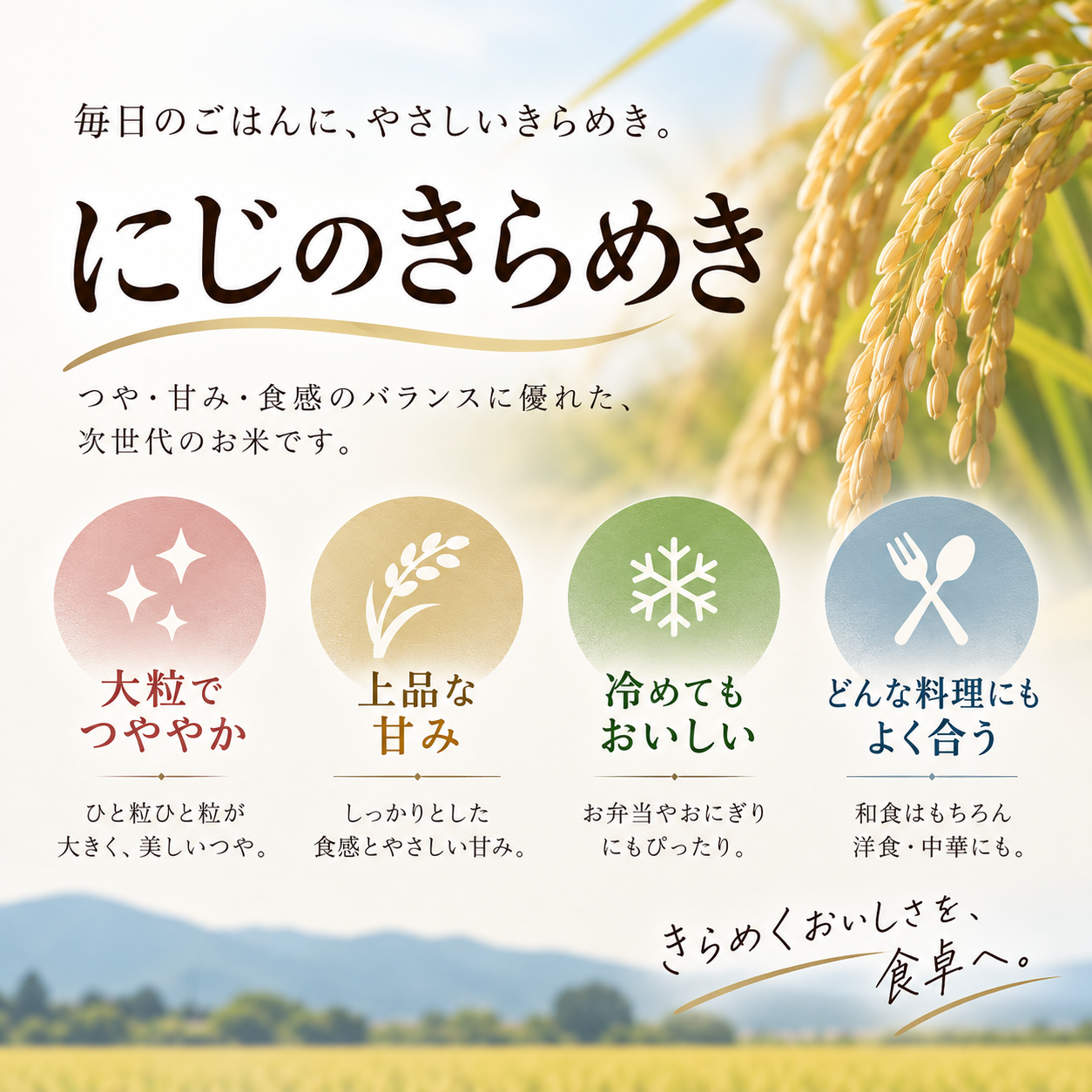にじのきらめき 新米 10キロ 10? 白米 数量限定 米 コメ お米 精米 ごはん こめ ご飯 おにぎり こめ ライス 令和8年度 農家直送 産地直送 ふるさと納税 高知県 南国市