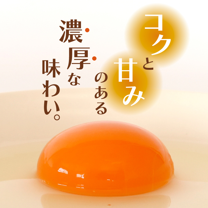 【6回定期便】土佐ジローの卵 30個入り (10個×3パック)【たまご 卵 タマゴ 鶏卵 たまごかけごはん TKG オムレツ ケーキ 卵かけご飯 たまご焼き おいしい おすすめ 高知県 南国市】
