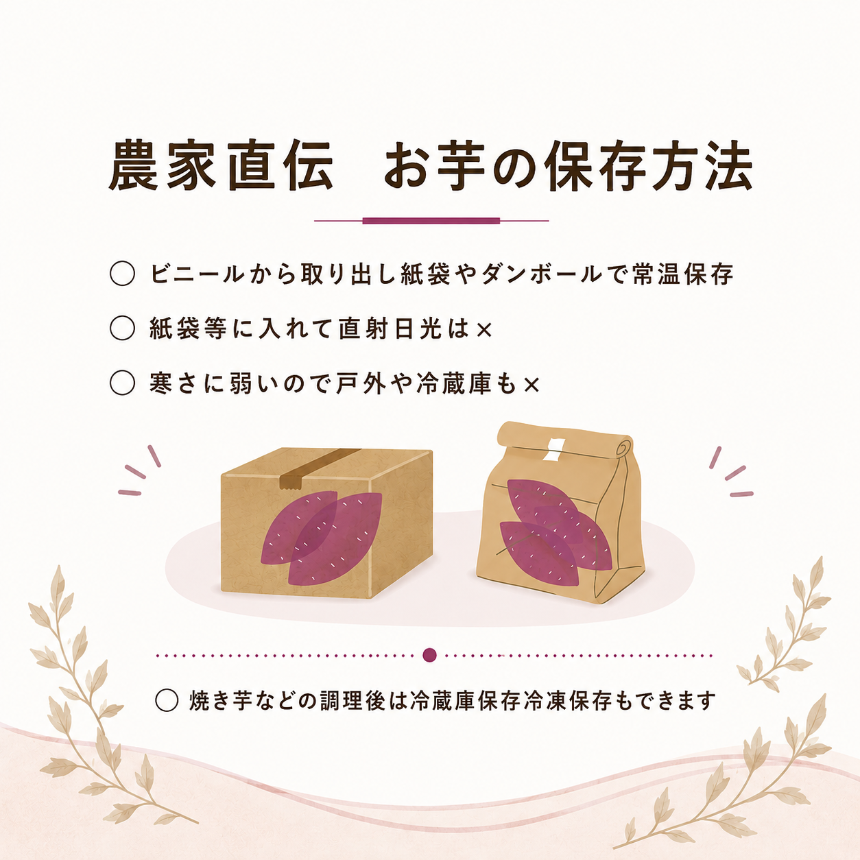 【 冬季 限定 】【 先行予約 】 高知県産 熟成紅はるか 極蜜芋 5kg ｜ 紅はるか さつまいも 生芋 熟成芋 高知 焼き芋 やきいも おやつ 農家直送 産地直送 ギフト WADA FARM 高知県 南国市