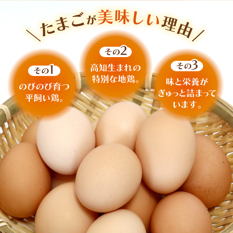 土佐ジローの卵 50個入り たまご 卵 タマゴ 鶏卵