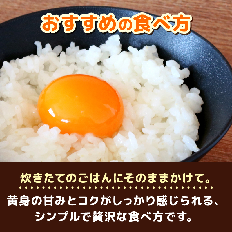 【3回定期便】土佐ジローの卵 20個入り (10個×2パック)【たまご 卵 タマゴ 鶏卵 たまごかけごはん TKG オムレツ ケーキ 卵かけご飯 たまご焼き おいしい おすすめ 高知県 南国市】
