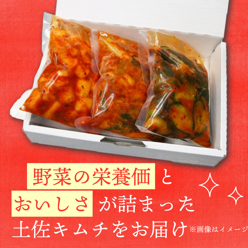 【土佐キムチ きゅうり】 きゅうりキムチ 300g×3パック 無添加 自然派 パリパリ キムチ 漬物 発酵 きゅうり キムチ 手作り てづくり 韓国 高知県 南国市