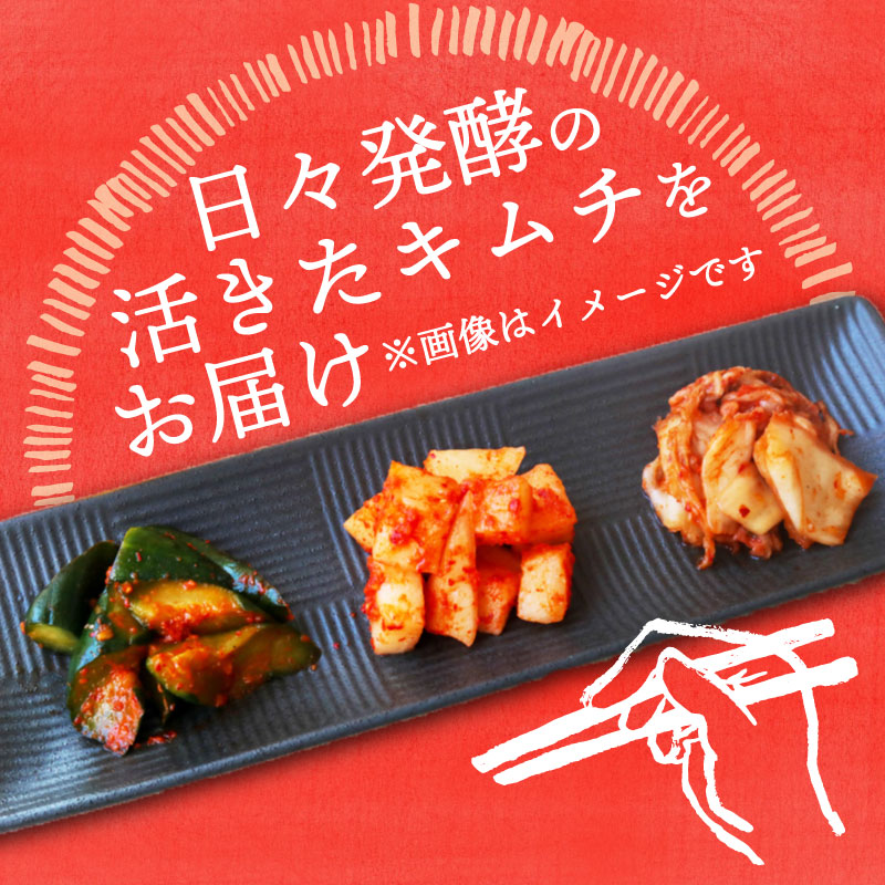 【土佐キムチ きゅうり】 きゅうりキムチ 300g×3パック 無添加 自然派 パリパリ キムチ 漬物 発酵 きゅうり キムチ 手作り てづくり 韓国 高知県 南国市