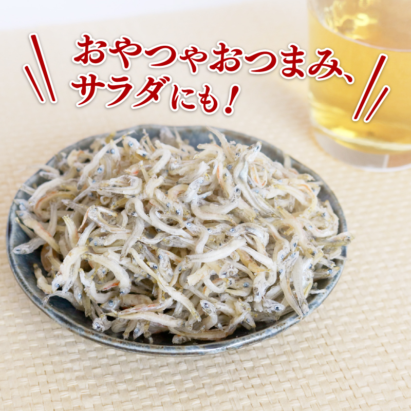 【6回定期便】土佐湾 おかずじゃこ 2.4kg 小分け 冷凍配送 お取り寄せ 国産 おかず チリメンジャコ 海鮮 ちりめんじゃこ 高知県 南国市