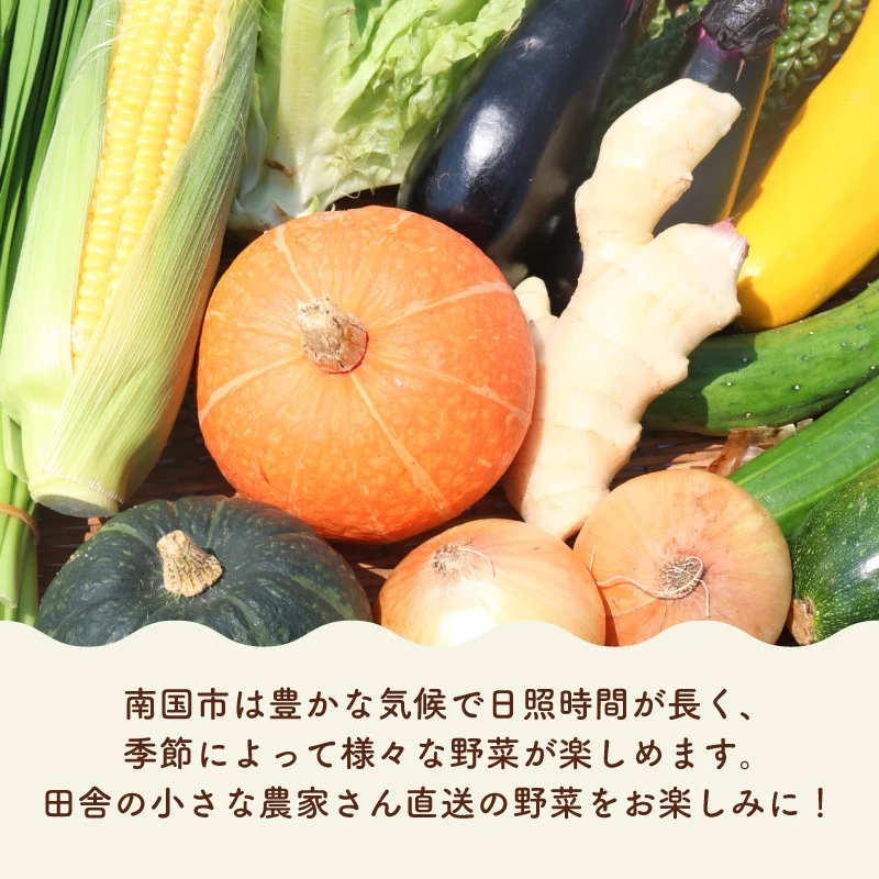 南国土佐の季節野菜と卵（ゆずたま）の詰め合わせセット | セット 詰め合わせ 旬 やさい 野菜 たまご 卵 柚子 ゆず ゆずたま 農家直送 お楽しみ かぼちゃ カボチャ キャベツ きゃべつ トマト とまと 玉ねぎ たまねぎ タマネギ きゅうり キュウリ 旬野菜 夏野菜 春野菜 人気 高知県 南国市