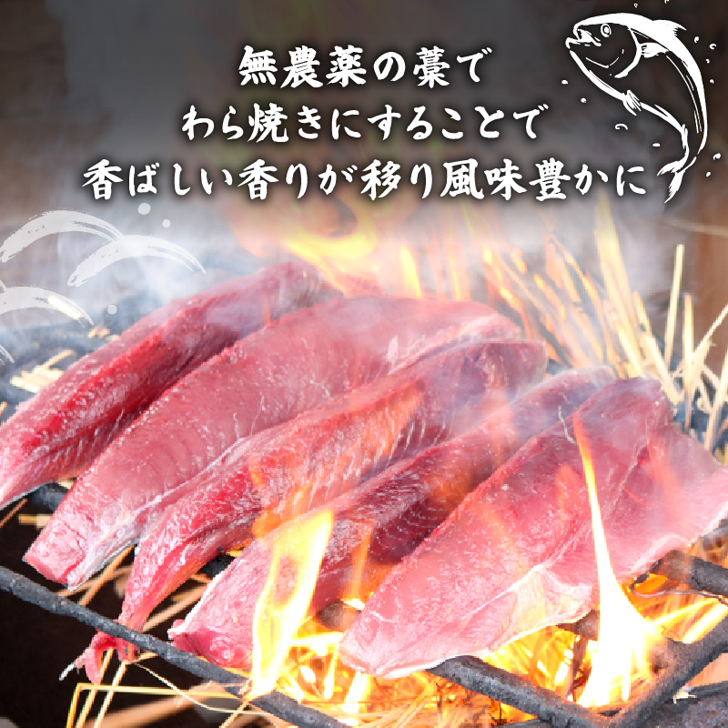 極み かつお タタキ 刺身 漬け丼 8パック カツオ たたき さしみ お刺身 海鮮丼 海鮮 魚 肴 魚介 魚貝 漬け丼 漬け丼の素 冷凍 高知 鰹 柚子 ゆず 日戻り船 日戻 鮮度自慢 産地直送 父の日 母の日 お祝い パーティー 誕生日 丼 高知県 南国市
