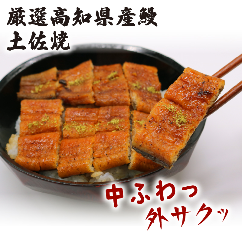 うなぎ蒲焼 約170g×3尾 高知県産 最高品質 合計約510g たれ 山椒 国産 鰻 かば焼 土佐焼 うな丼 うな重 高知県 南国市