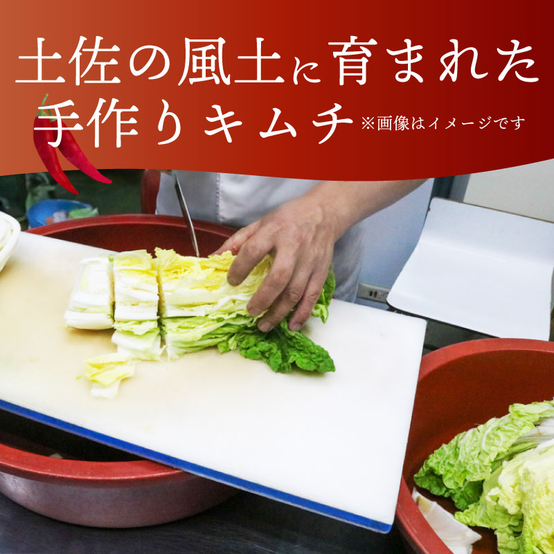 【土佐キムチ きゅうり】 きゅうりキムチ 300g×3パック 無添加 自然派 パリパリ キムチ 漬物 発酵 きゅうり キムチ 手作り てづくり 韓国 高知県 南国市